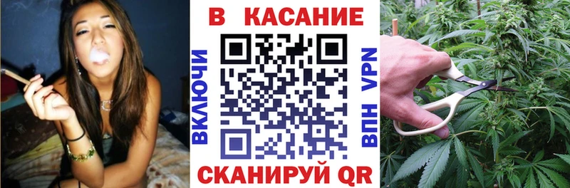 Гашиш Терек
