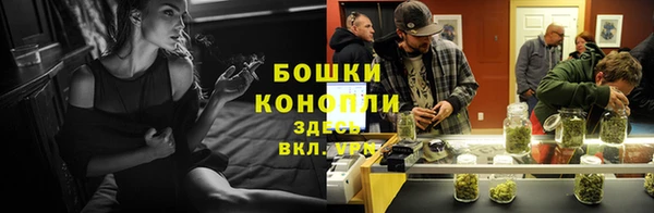 ешки Козельск