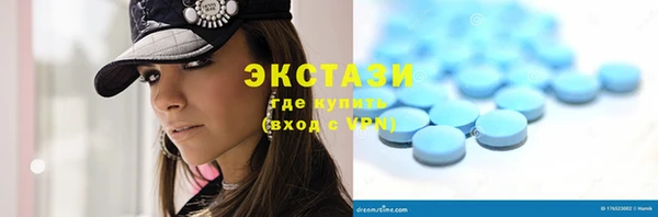 хмурый Ельня