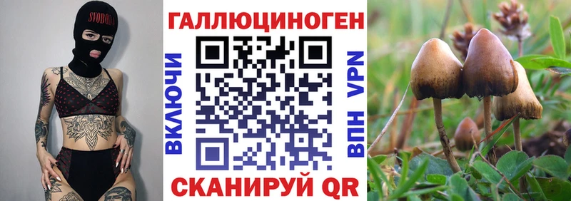Псилоцибиновые грибы Magic Shrooms  Терек 